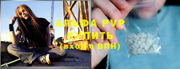 стафф Козельск