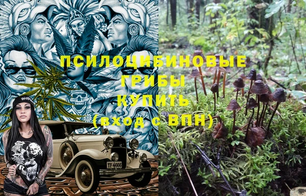 трава Козловка