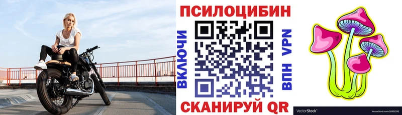 закладка  Янаул  Галлюциногенные грибы Cubensis 